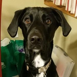 Meet your Posher, Jackie